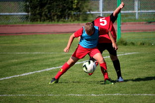 开云体育彩票开云体育福利-中国篮球职业联赛俱乐部运营模式创新及管理经验分享，篮球俱乐部运营与管理